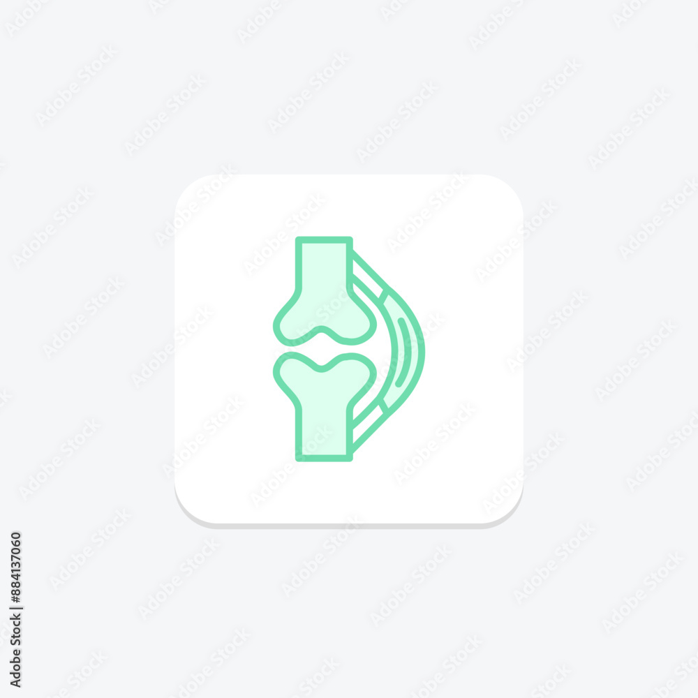 Tendons duotone line icon , vector, pixel perfect, illustrator file Tendons duotone line icon , vector, pixel perfect, illustrator file