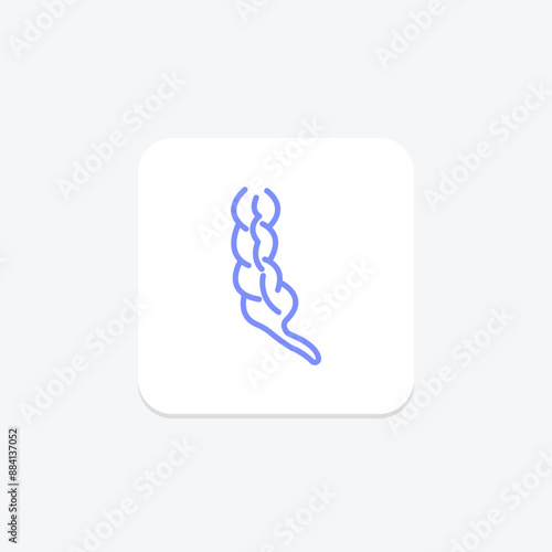 Appendix duotone line icon , vector, pixel perfect, illustrator file