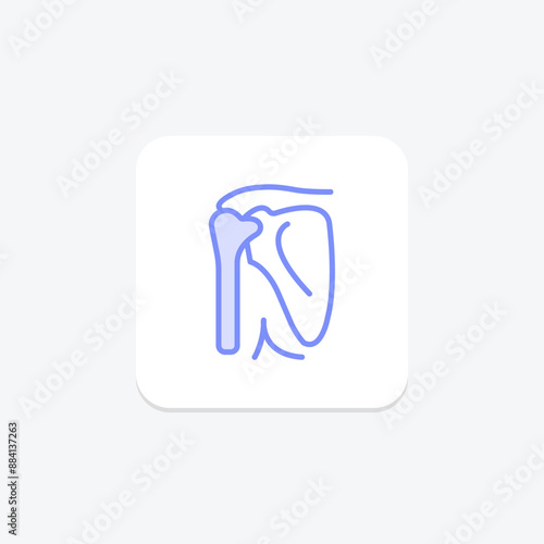 Shoulder Bones duotone line icon , vector, pixel perfect, illustrator file