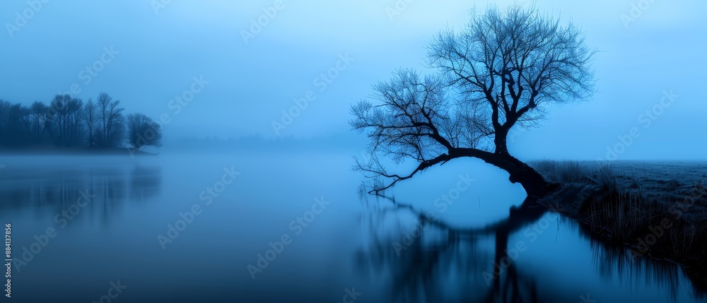 A solitary tree at water's edge in a misty, blue-toned, foggy landscape A solitary tree at water's edge in a misty, blue-toned, foggy landscape
