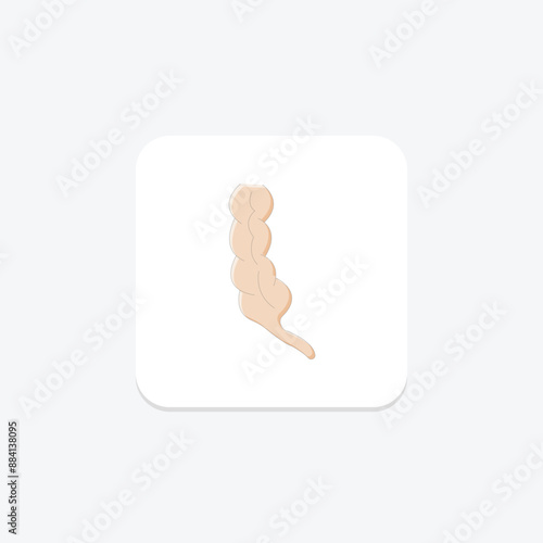 Appendix lineal color icon , vector, pixel perfect, illustrator file