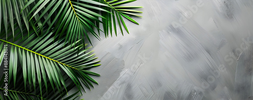 Palm leaf on a gray background with copy space for text or design, a flat lay, top view, perfect for summer vacation concepts.