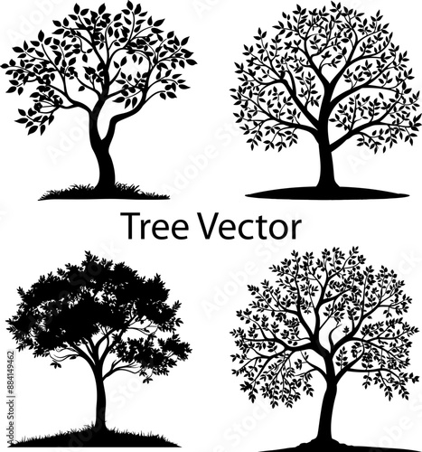 Beautifull tree silhouette Vector illustration