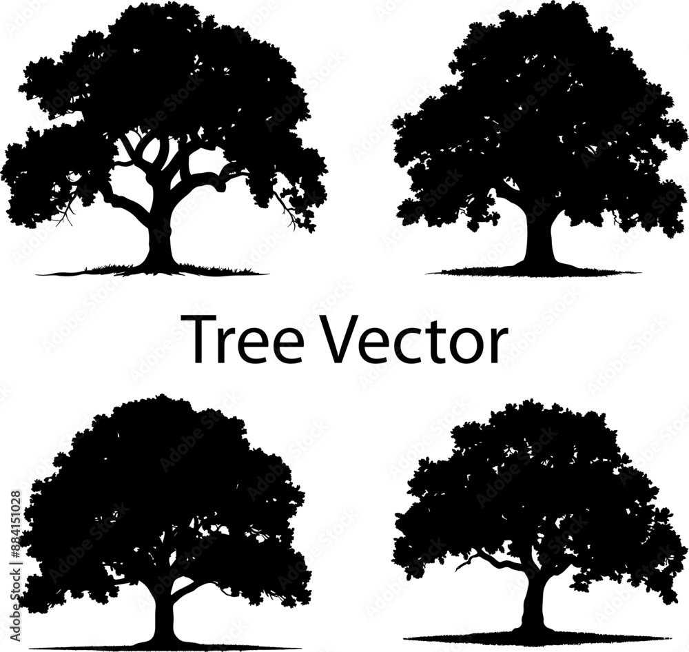 Beautifull tree silhouette Vector illustration