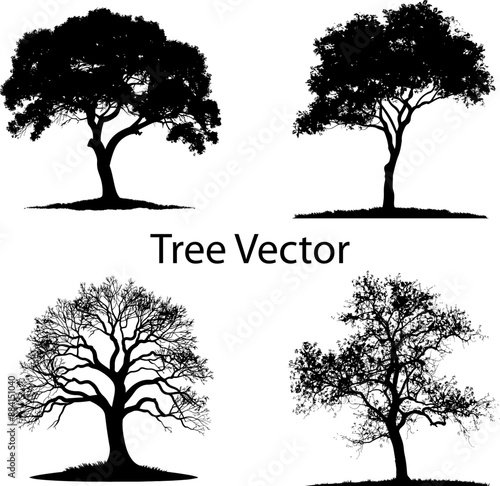 Beautifull tree silhouette Vector illustration