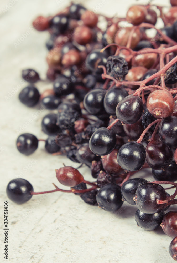 Fresh elderberry containing vitamins and minerals. Healthy nutrition, natural methods of treatment Fresh elderberry containing vitamins and minerals. Healthy nutrition, natural methods of treatment