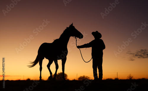 Horse at Sunrise