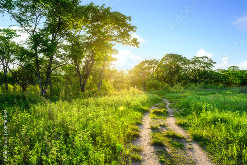 Photography field and blue sky with clouds