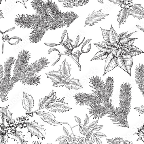 Vintage botanical seamless pattern with fir branches, holly, mistletoe, poinsettia. Hand drawn. Christmas vector background for design package, holiday decor, decoration new year