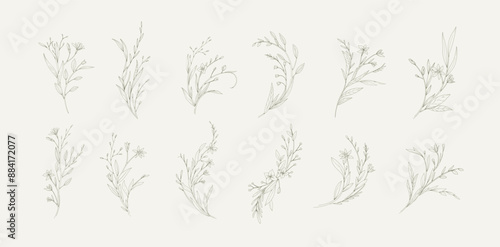 Delicate botanical minimalistic branches with flowers and leaves, intricate bouquets. Set of floral design elements. Vector illustration for invitation, save the date card