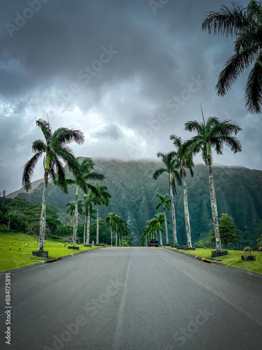 Alley of palm trees at Valley of the Temples Memorial Park and Cemetery, Kaneohe, Hawaii, USA against cloudy sky photo