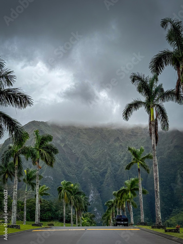 Alley of palm trees at Valley of the Temples Memorial Park and Cemetery, Kaneohe, Hawaii, USA against cloudy sky photo