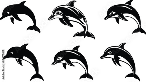 Dolphin  Silhouette Vector Illustration