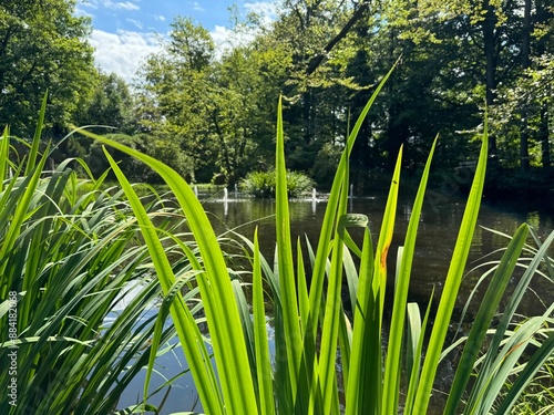 Schlossgarten und Barockschloss Rammenau