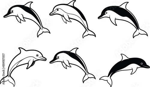Dolphin  Silhouette Vector Illustration