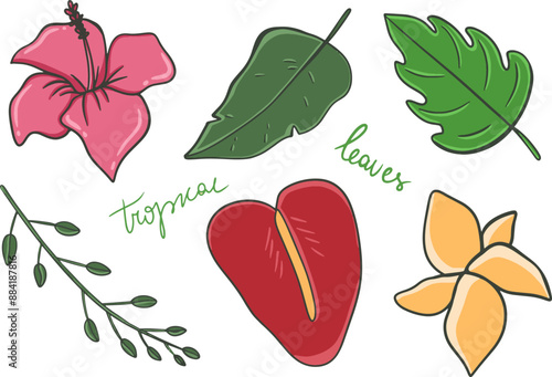 Tropical leaves, flowers set. Plants isolated on white background