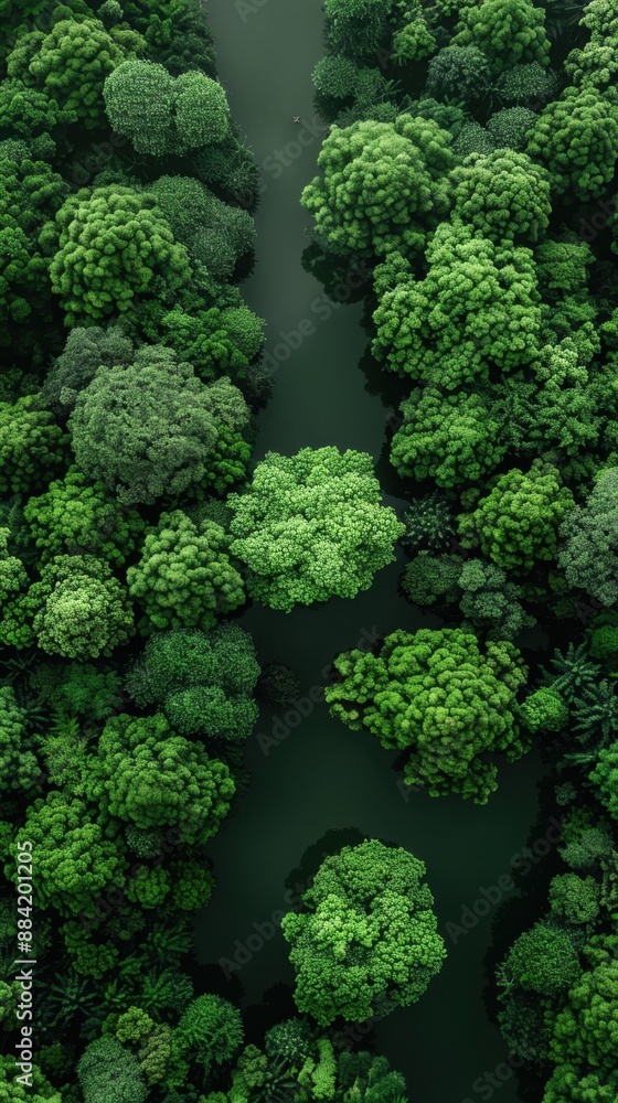 Aerial view of a dense forest with a winding river running through Aerial view of a dense forest with a winding river running through