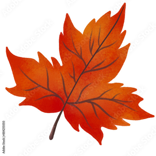 Autumn Leaves