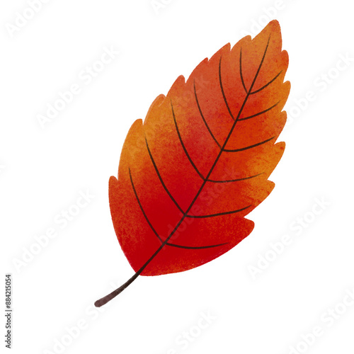 Autumn Leaves