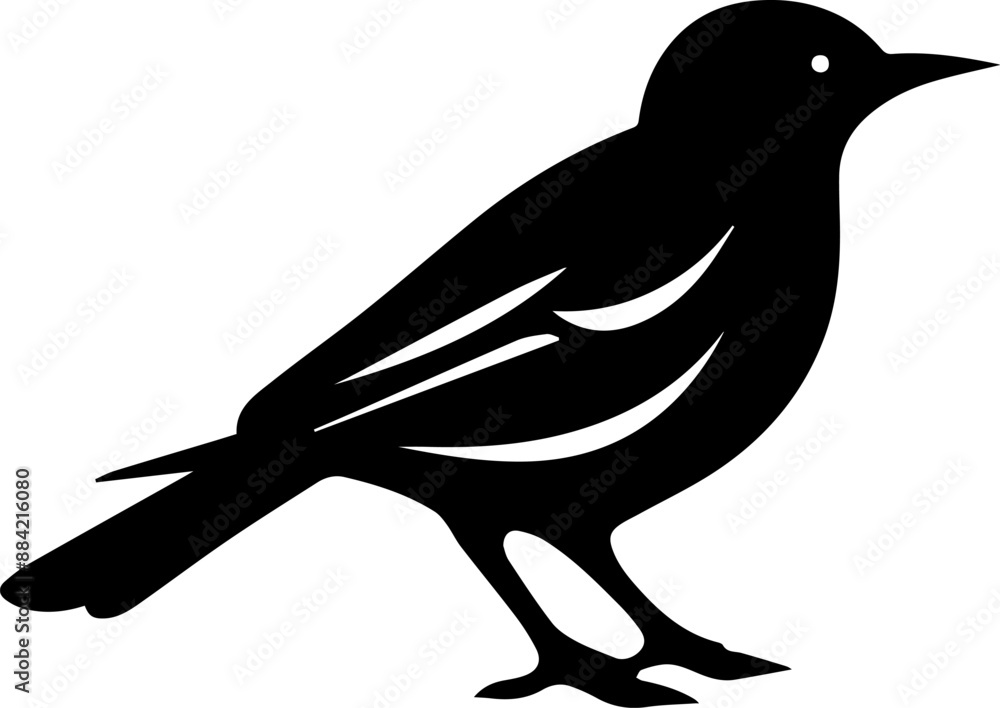 Fototapeta premium silhouette of a pigeon
