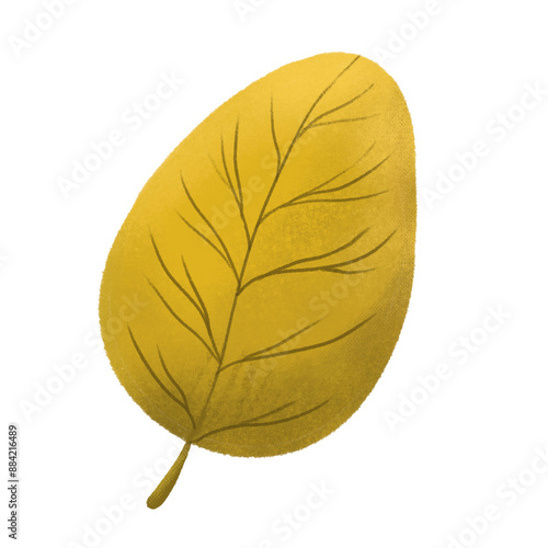Autumn Leaves
