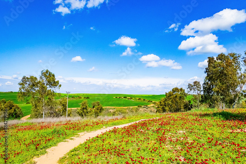 Canvastavla The dirt road runs among the hills
