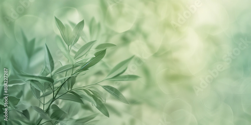 Wallpaper Mural Summer slightly blurred background of delicate green leaves of air and light. With copy space. Card, invitation, congratulations, banner, flyer, background, wallpaper.  Torontodigital.ca