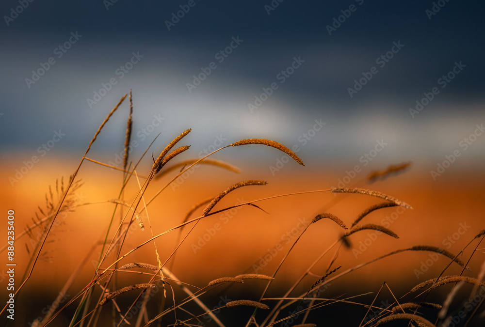 Obraz premium Jesień