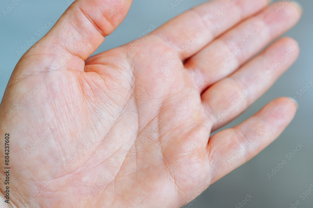 female hand palm with life lines female hand palm with life lines