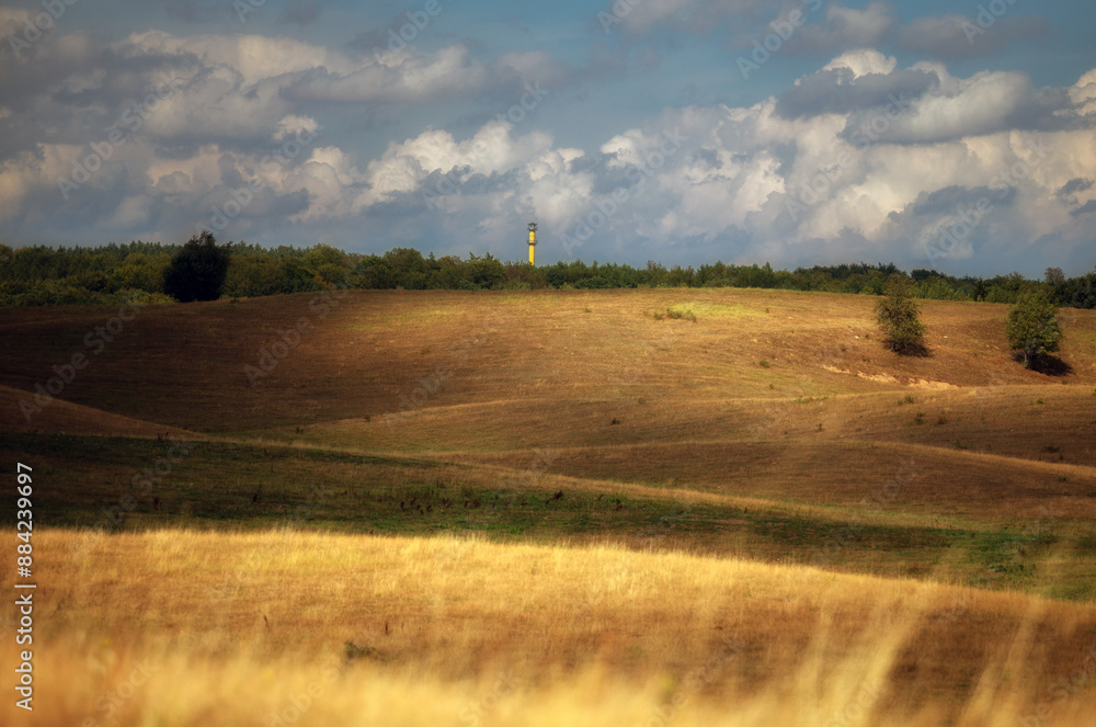 Obraz premium Na letniej łące