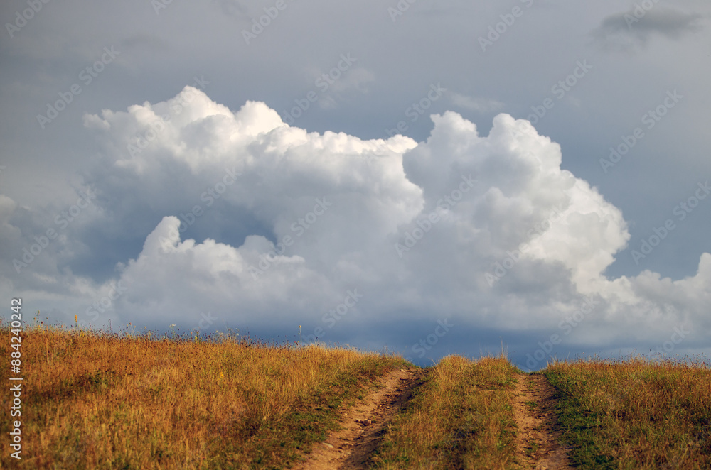 Obraz premium Polna droga