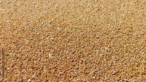 Brown sand texture background
