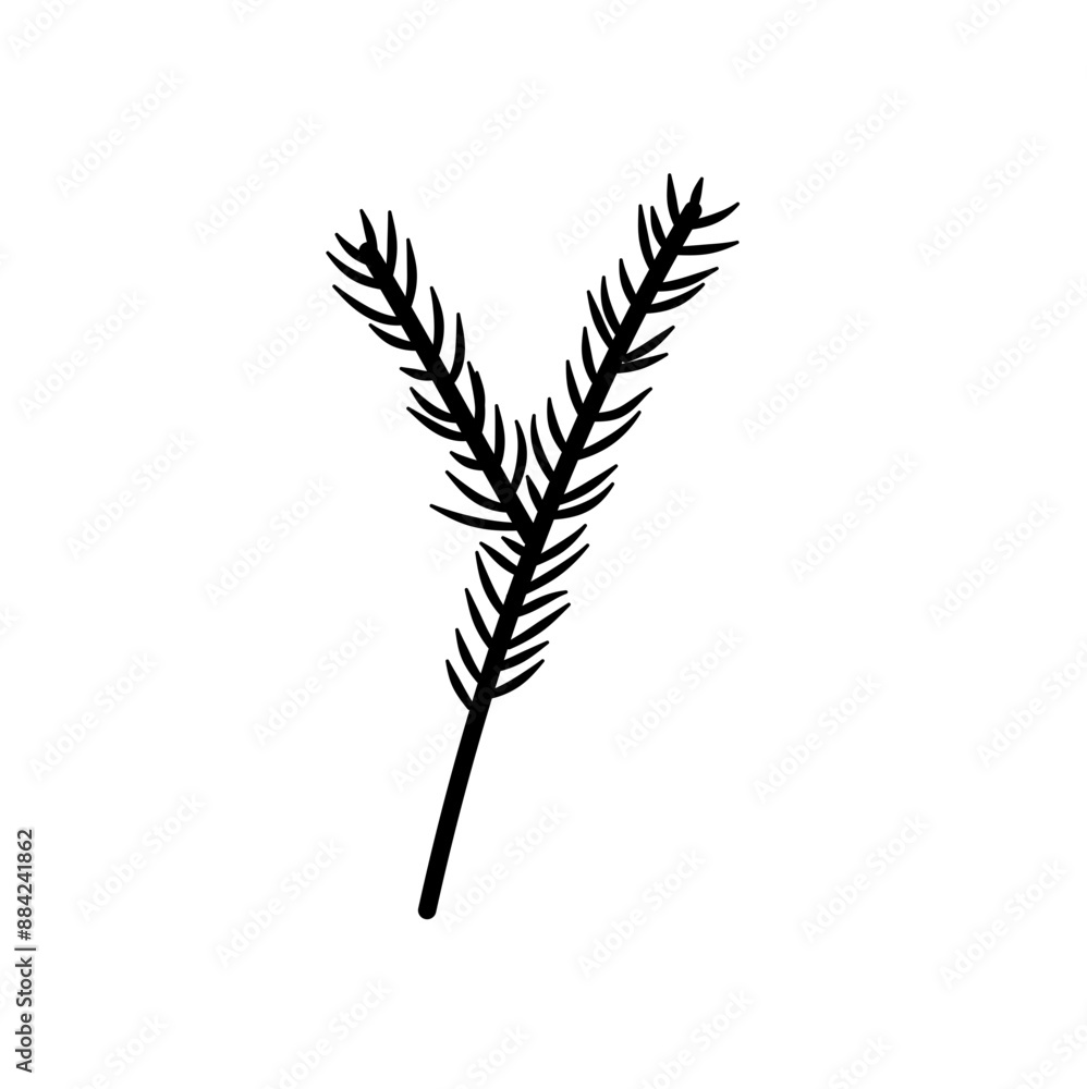 Christmas Tree Branch Black Silhouette Vector Christmas Tree Branch Black Silhouette Vector