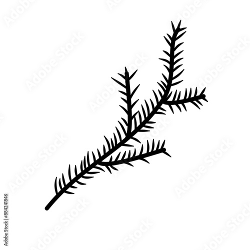 Christmas Tree Branch Black Silhouette Vector 