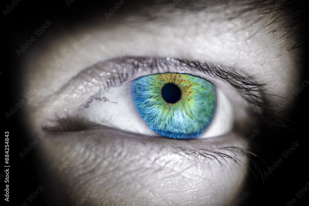 Fototapeta premium CloseUp of Blue and Green Human Eye with Detailed Iris and Pupil