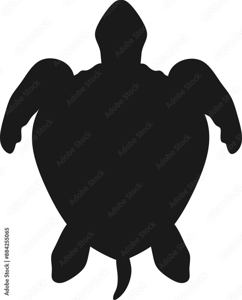 Obraz premium Turtle Graphic Illustration