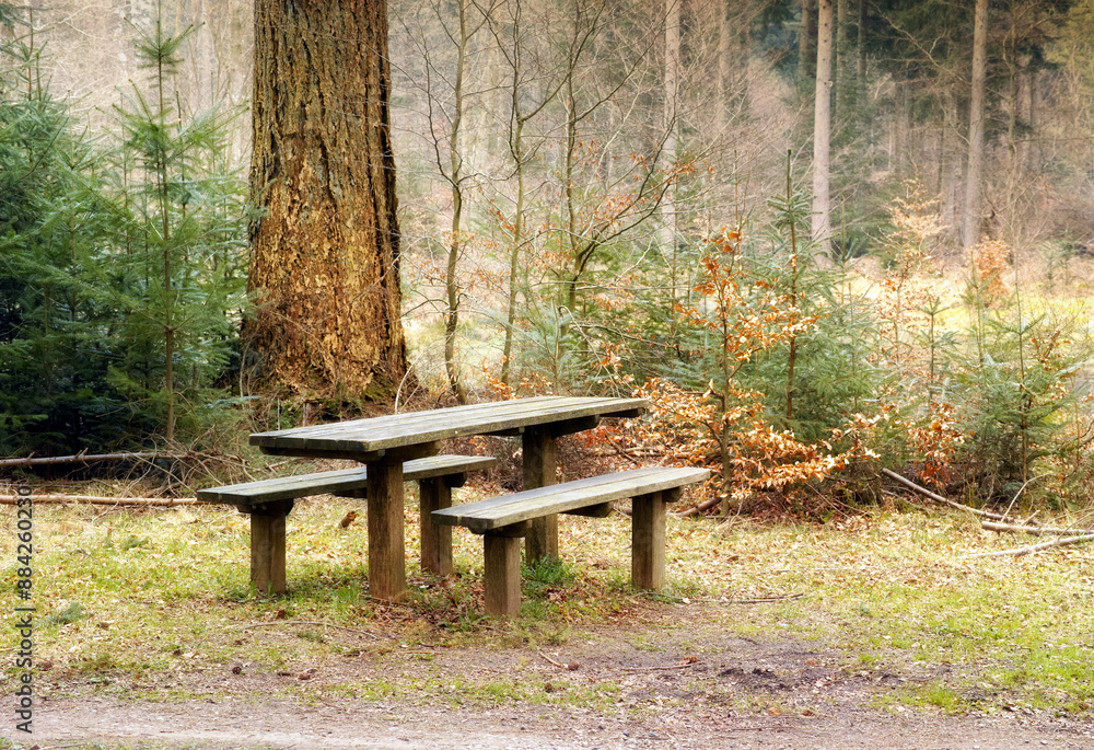 Nature, bench and landscape for travel with peace in outdoor, calm in winter for environment. Freedom, park and rest spot with scenic view in countryside for relax, chair for wellness in Norway Nature, bench and landscape for travel with peace in outdoor, calm in winter for environment. Freedom, park and rest spot with scenic view in countryside for relax, chair for wellness in Norway