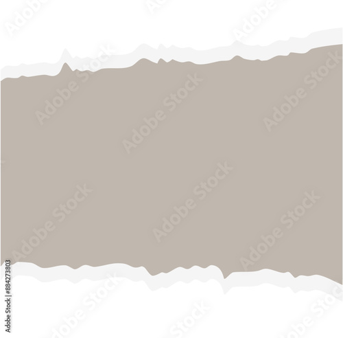 Torn Paper note vector 