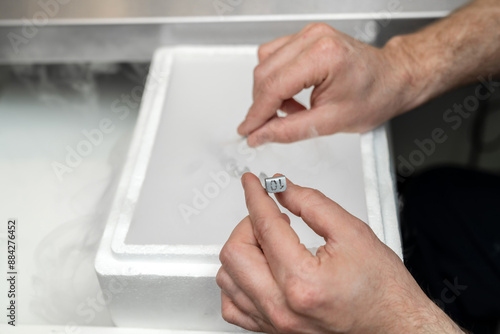 Embryologist adding sperm to egg in laboratory of reproductive clinic. in vitro fertilization, egg freezing. injects one sperm into each egg by microinjection. intracytoplasmic Sperm injection. IMSI
 photo