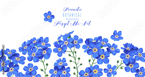 Vector horizontal border with blue forget-me-not flowers isolated on white background. Spring theme background, vector, botanical floral design in realistic style. Greetings, invitations.
