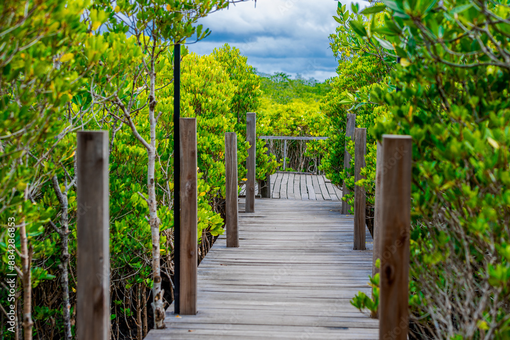 panoramic background of high mountain scenery, overlooking the atmosphere of the sea, trees and wind blowing in a cool blur, spontaneous beauty