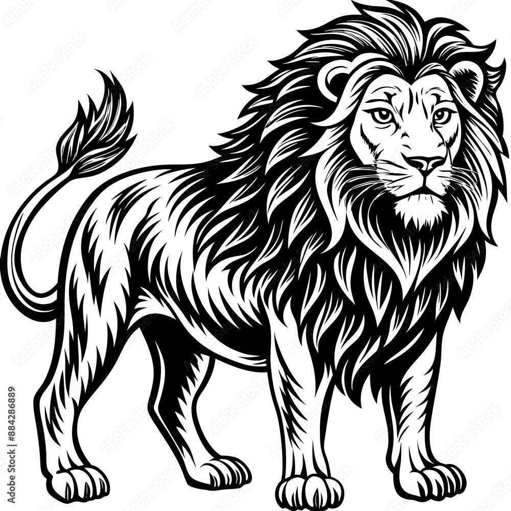 Naklejka premium Lion Vector