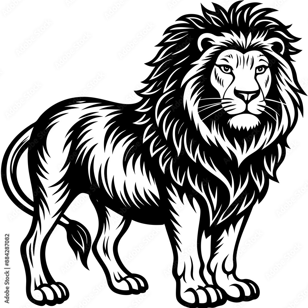 Obraz premium Lion Vector