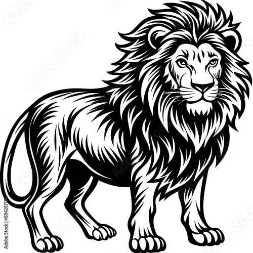 Lion Vector