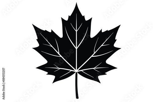 Maple Leaf Silhouette Art Vector Illustration