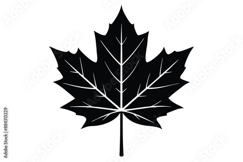 Maple Leaf Silhouette Art Vector Illustration