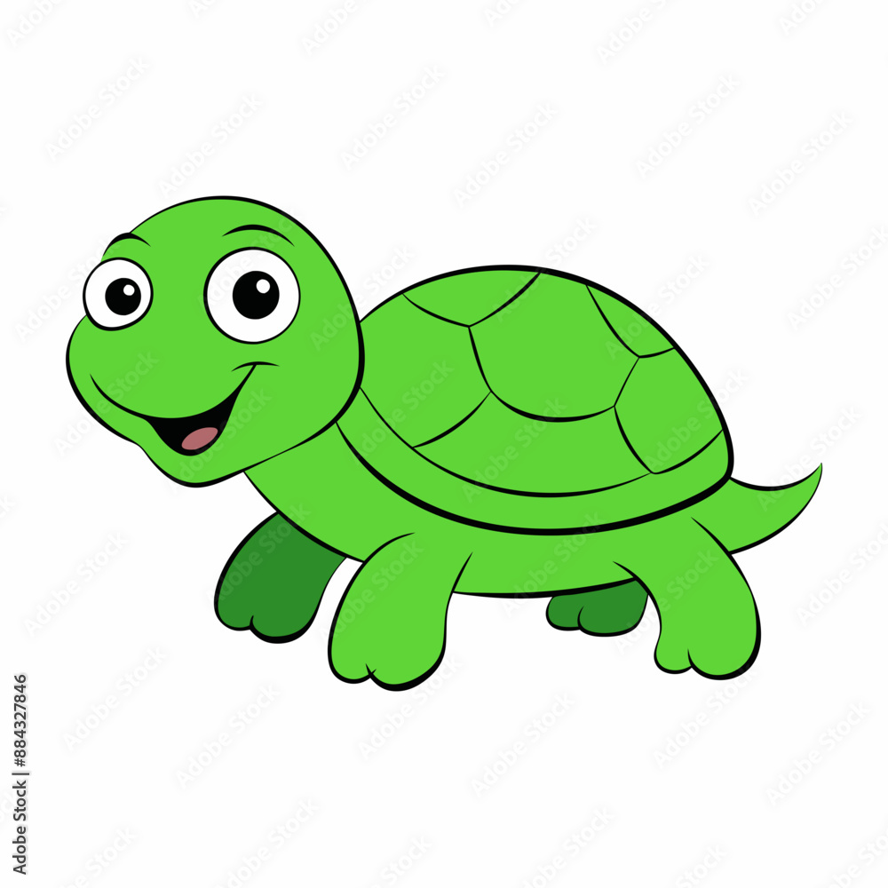 turtle cartoon turtle cartoon