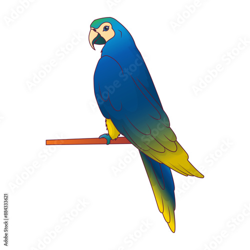 Vector illustration of blue parrot on isolated white background. Tropical bird.