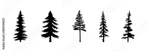Pineree vector silhouette set. Trees flat black collection.