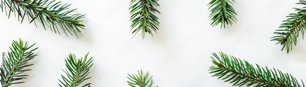 Fototapeta premium Create a minimalist holiday-themed banner ad. Use a white background and green pine sprigs in the corners. The ad should be clean, simple, and elegant.